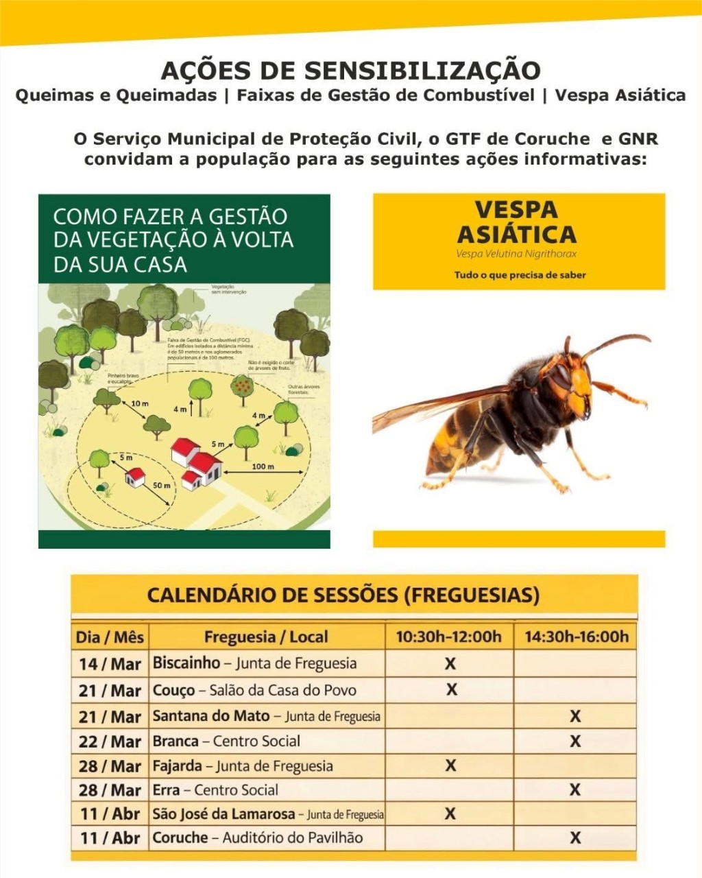 A&ccedil;&atilde;o de Sensibiliza&ccedil;&atilde;o: Queimas e Queimadas / Vespa Asi&aacute;tica