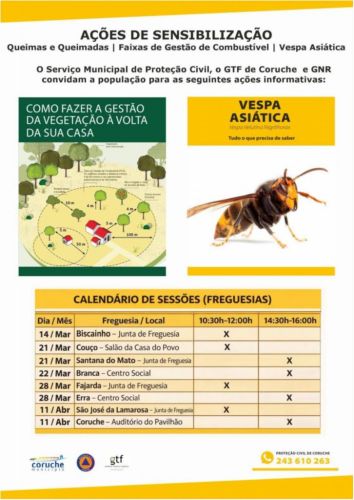 A&ccedil;&atilde;o de Sensibiliza&ccedil;&atilde;o: Queimas e Queimadas / Vespas Asi&aacute;ticas